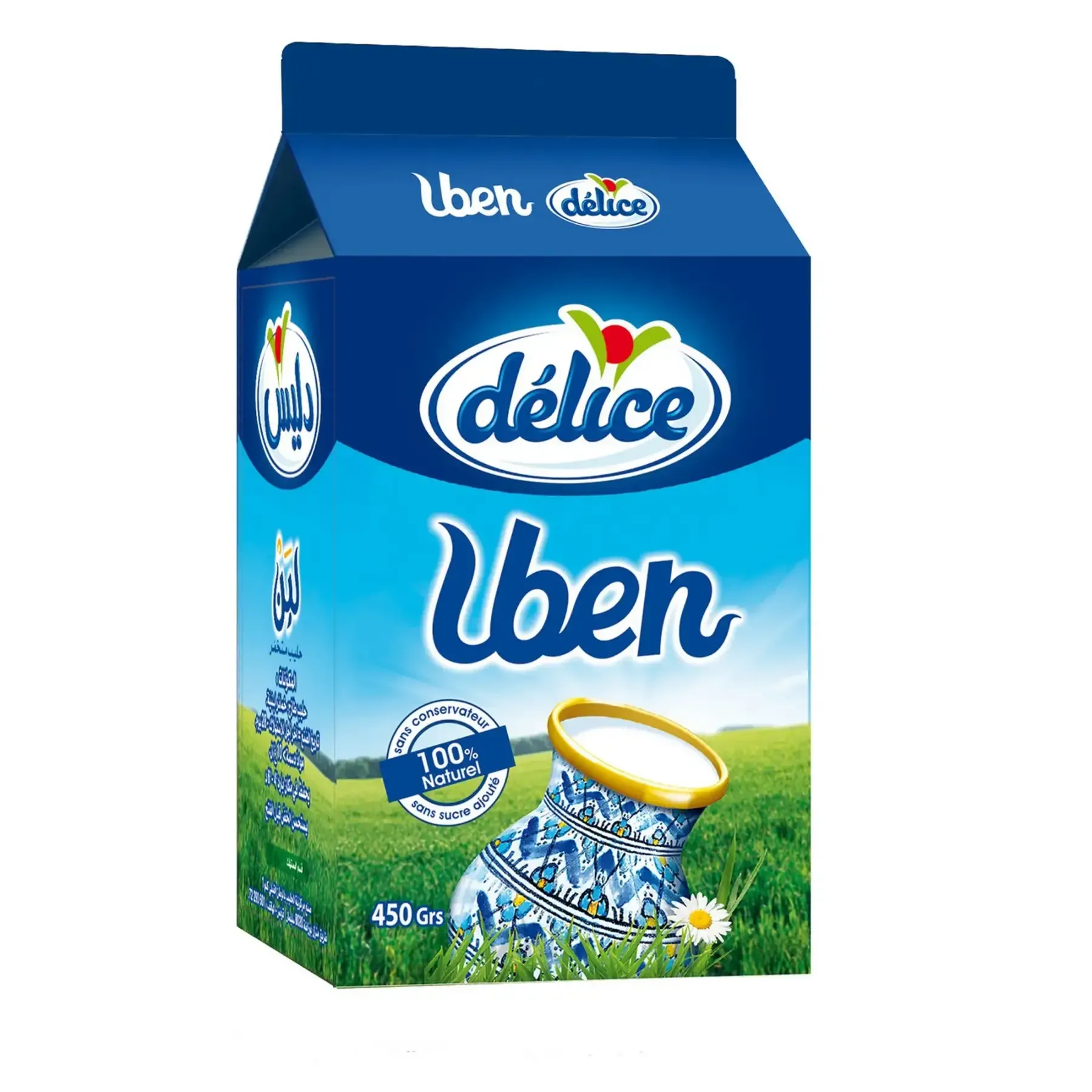 Lait fermenté "Leben" 