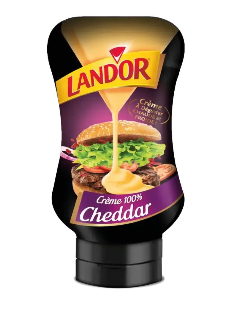 Fromage crème 100% cheddar