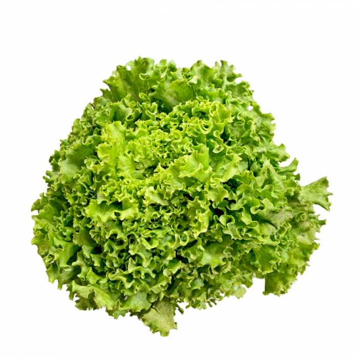 Salade verte variée