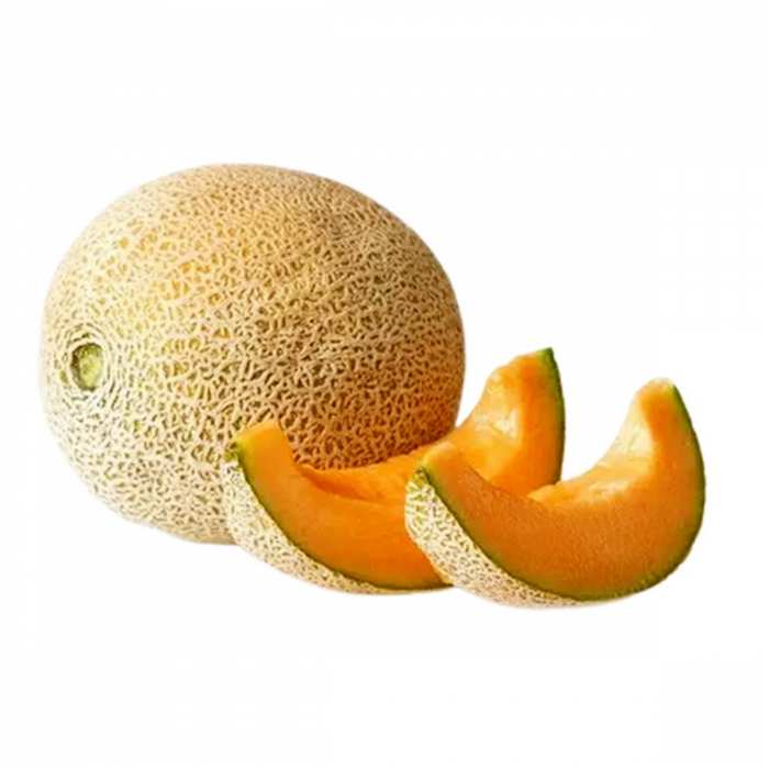 Melon lobnani