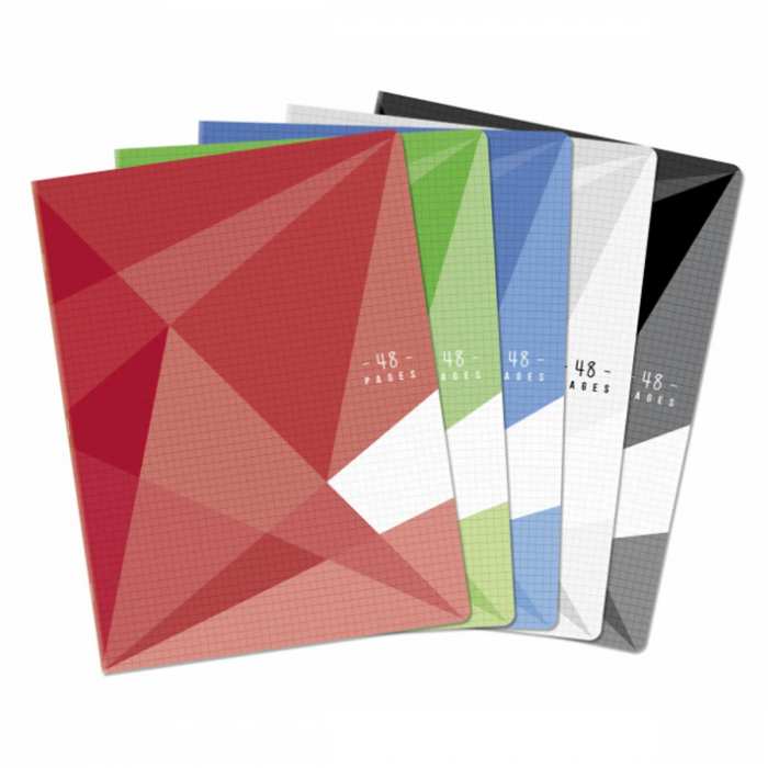 Cahier 24 x 32 - 48 pages