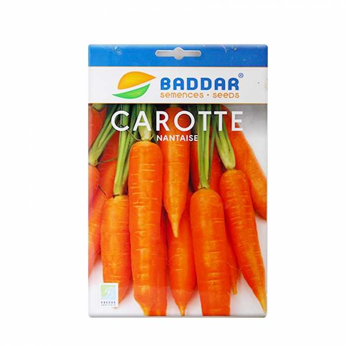 Semence de carotte Nantaise