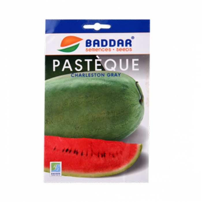 Semence de pastèque