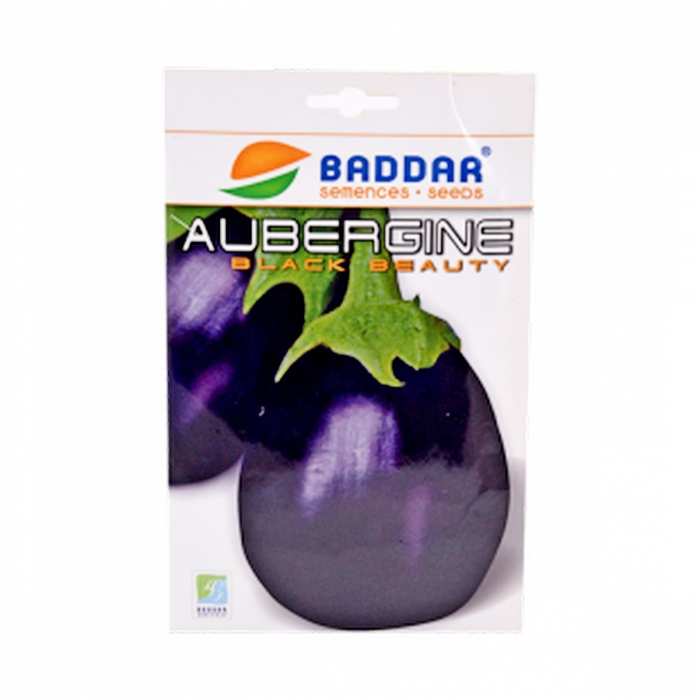 Semence d'aubergine black