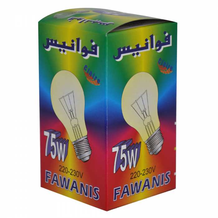 Ampoules standard 75W b22