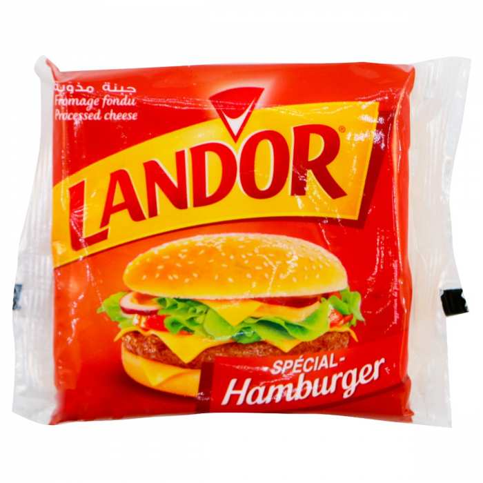 Fromage fondu spécial Hamburger LAND'OR
