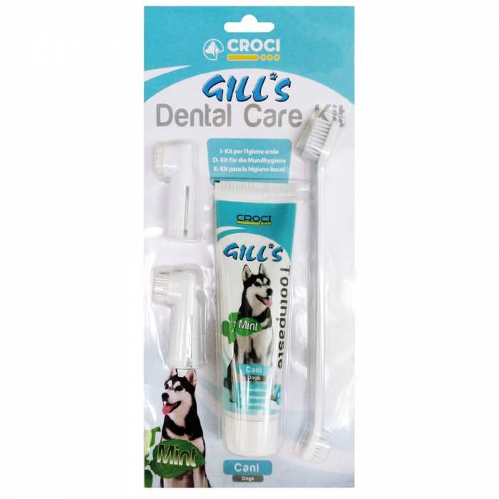 Kit Dental Care dentifrice pour chien