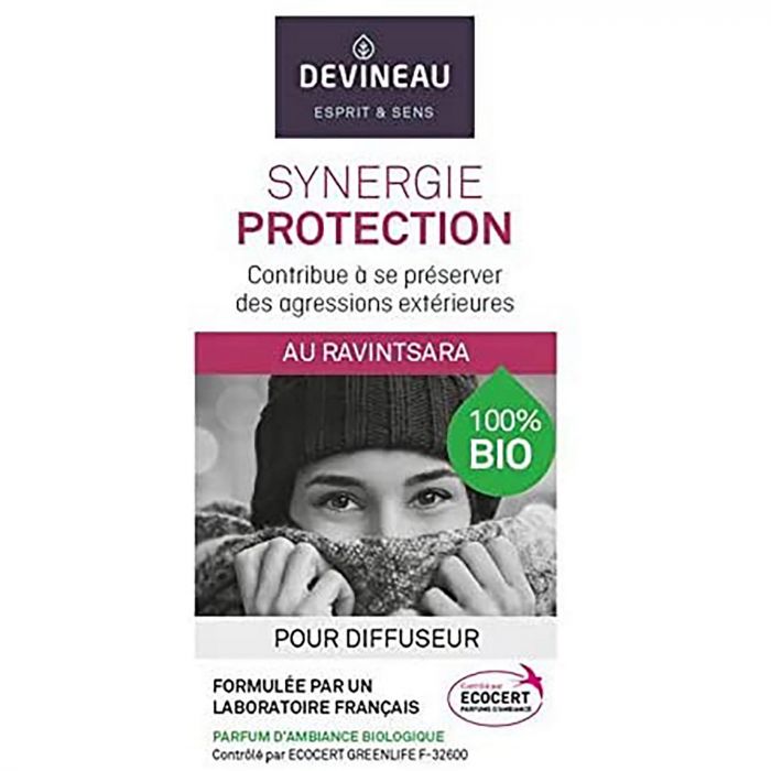 Devineau Synergie Méditation