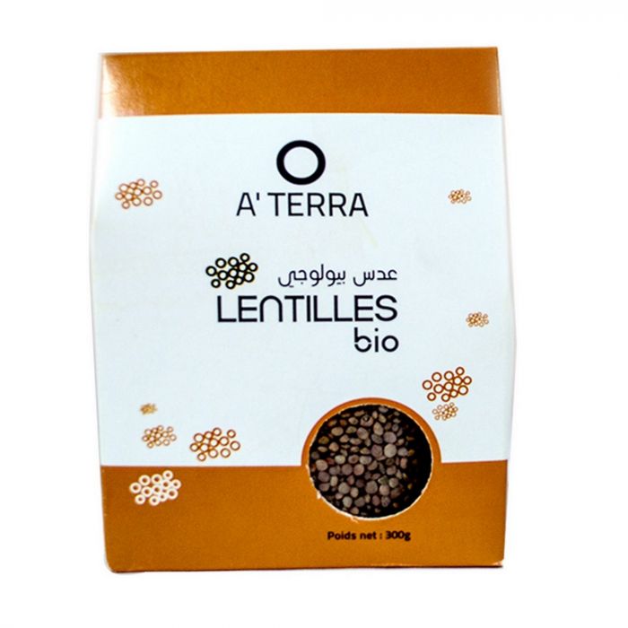 Lentilles bio